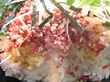 s_PICT0671_thumb.png